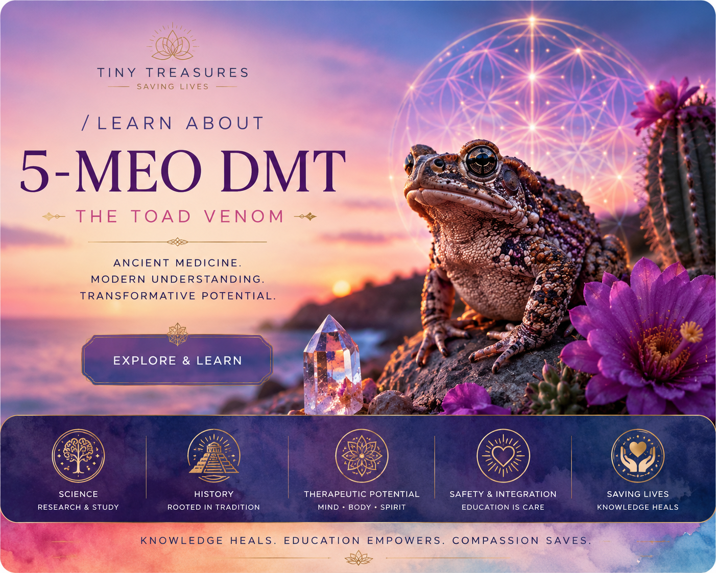 5-MeO-DMT — educational overview