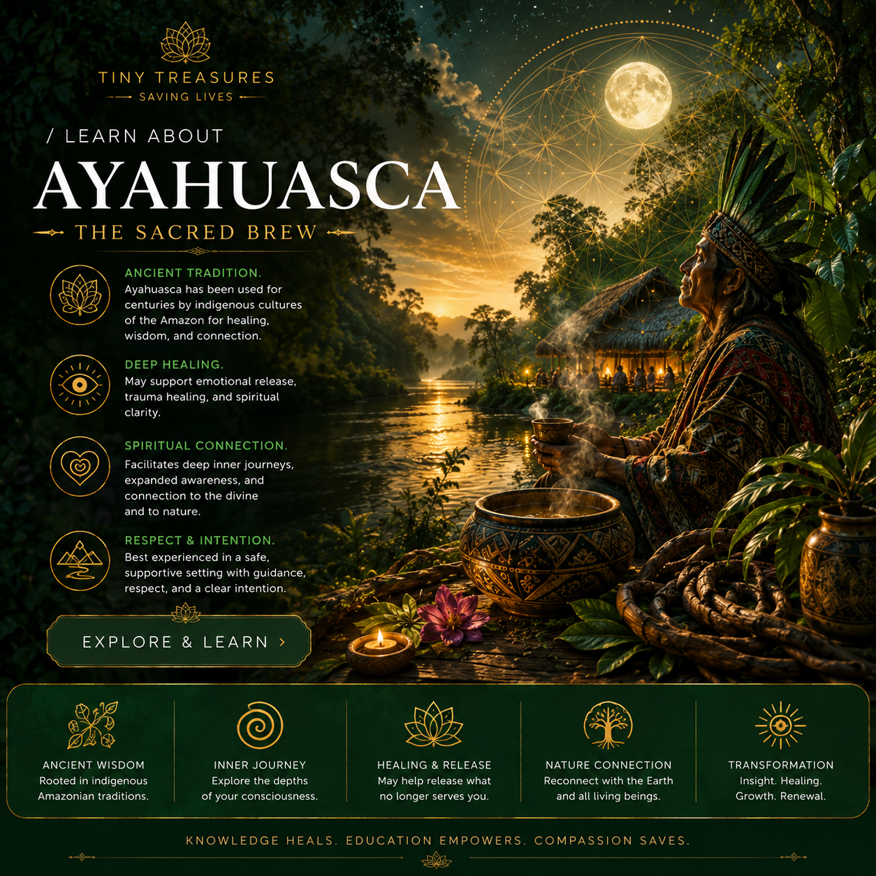 Ayahuasca — educational overview