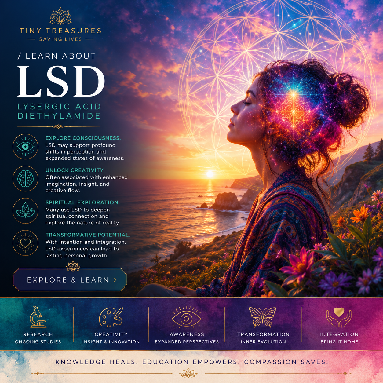 LSD — educational overview