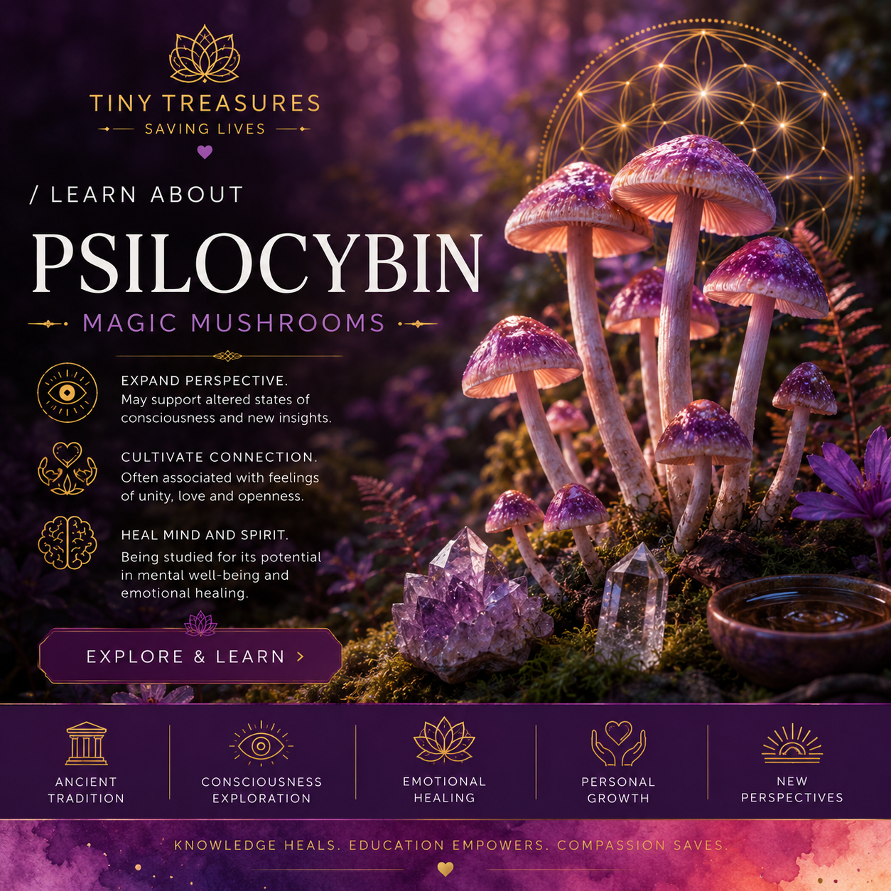 Psilocybin — educational overview